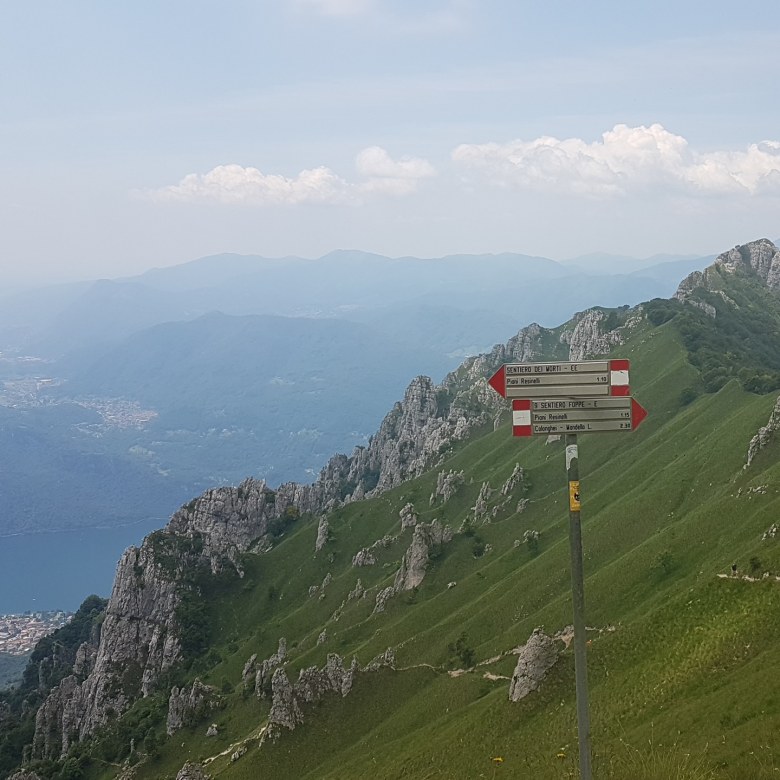 IMG_20180616_183307_546